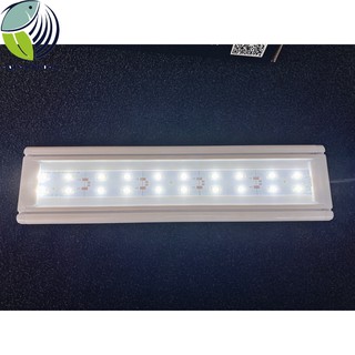 Đèn led thủy sinh trắng XML 30 - 40 - 50 - 60 cm
