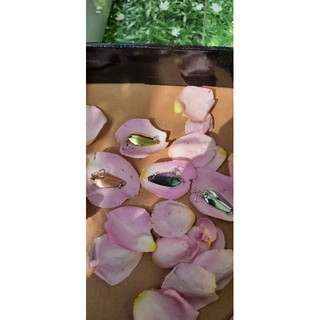 Mồi câu cá,mồi thìa câu lure