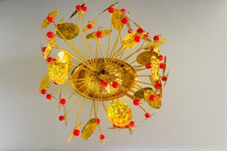 Cây cành vàng lá Ngọc