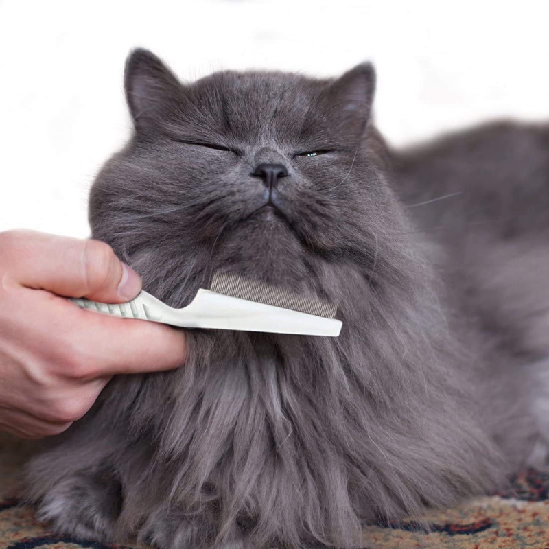 Lược Chải Lông Làm Sạch Lông Thú Cưng Tiện Dụng
