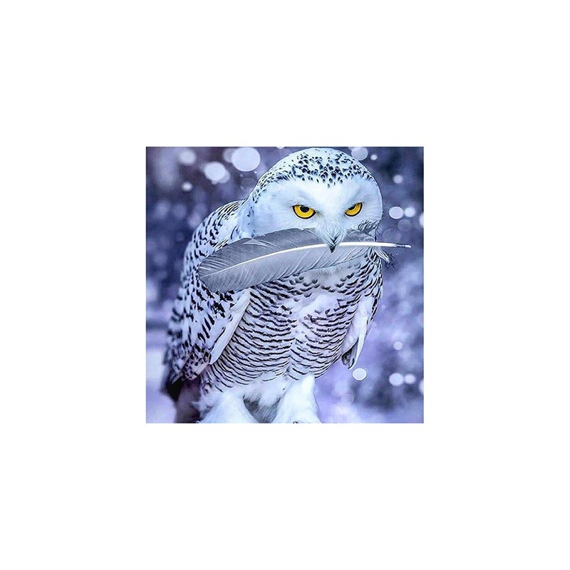 Full Round Drill 5D Diamond Painting Owl In The Snow Diamond Embroidery Birds Butterfly Cross Stitch Rhinestone Mosaic Home