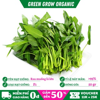 Hạt giống rau muống lá lớn siêu ngọn hữu cơ chịu nhiệt năng suất cao MS154 GREEN GROW ORGANIC