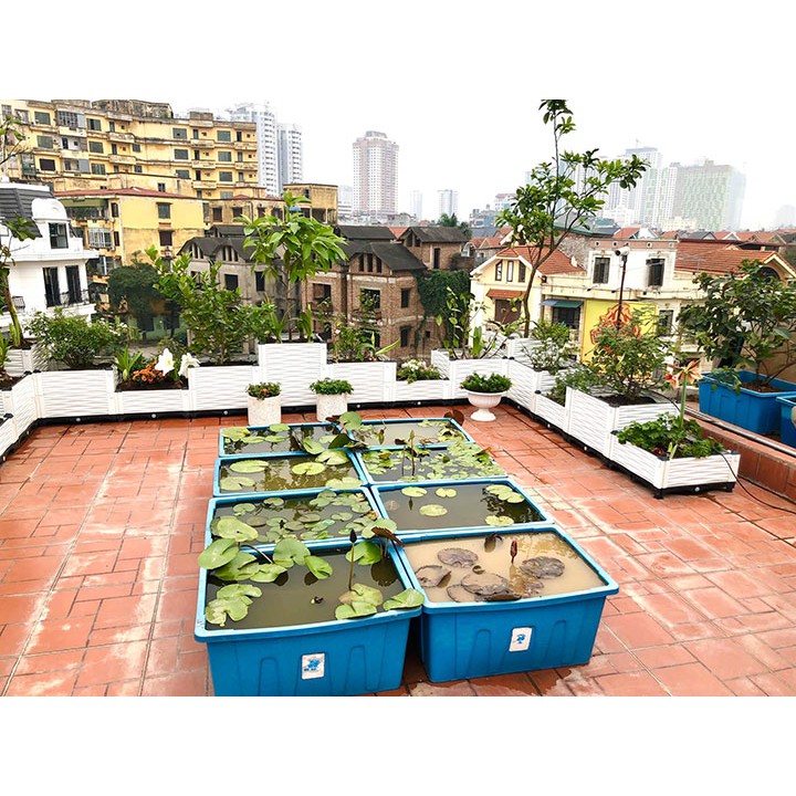 Chậu Ghép Trồng Cây Trồng Hoa Bậc Thang
