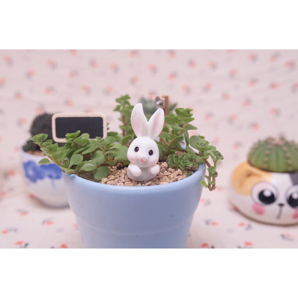 Phụ kiện thỏ trắng tai cụp lớn