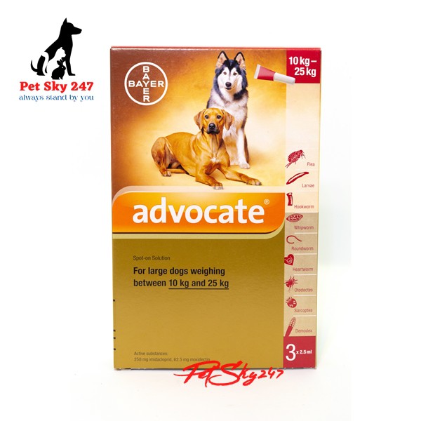 Tuýp Bayer Advocate - Nhỏ Gáy Trị Ký Sinh Trùng Cho Chó 10-25kg/1 Tuýp