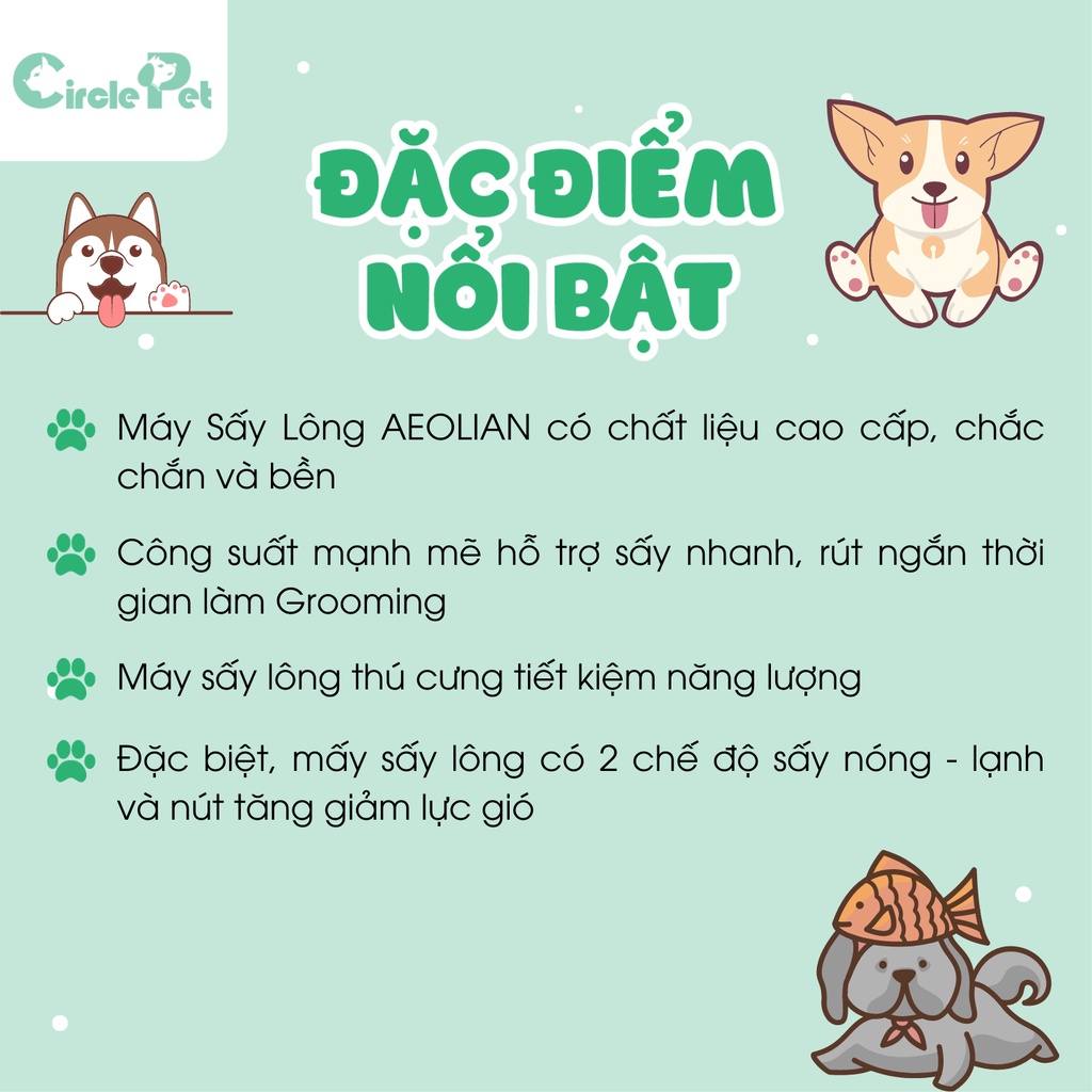 Máy Sấy Lông Aeolian Blaster TD-901GT Toex Grooming Chuyên Nghiệp Công Suất Lớn 2 Chế Độ Nóng Lạnh - Circle Pet