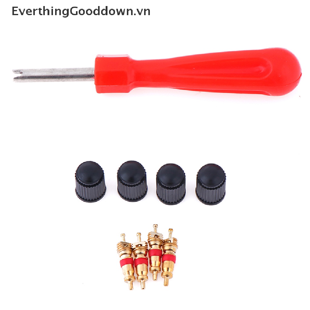 1 Bộ Dụng Cụ Sửa Chữa Van Lốp Xe Hơi Xe Máy Tiện Dụng