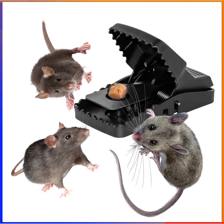 Bẫy bắt chuột thông minh