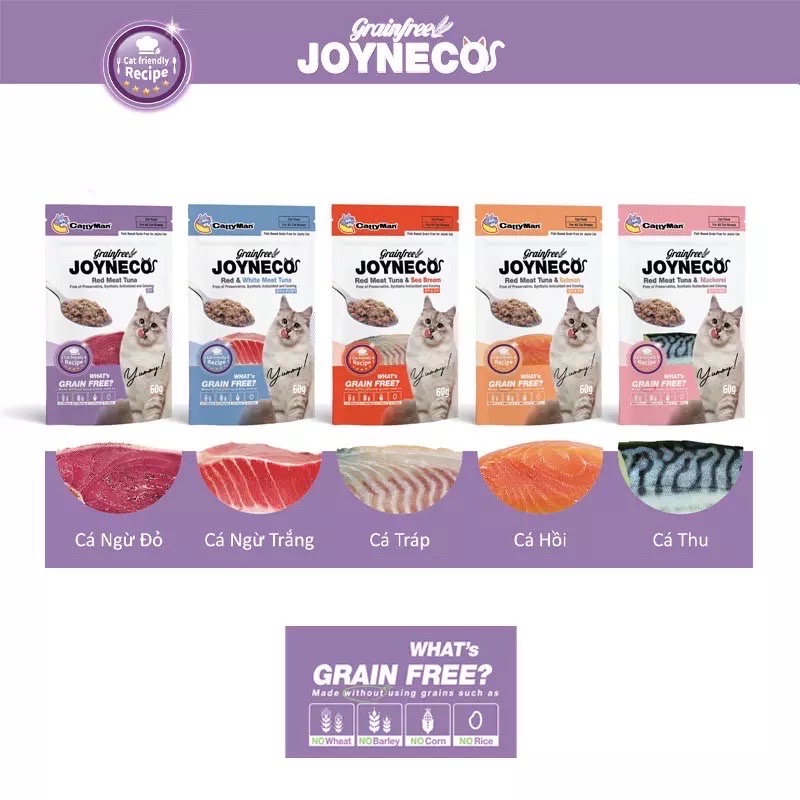 12 gói Thức Ăn Pate cho Mèo JOYNECO 60g (mix vị ngẫu nhiên)