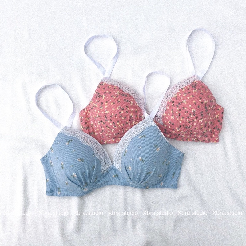 Bộ đồ lót cotton hoa nhí áo bralette MÚT LIỀN MẪU MỚI | BigBuy360 - bigbuy360.vn