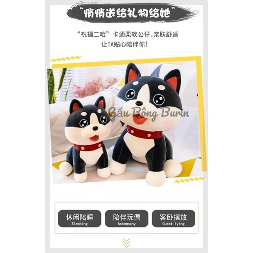 Gấy bông chó husky ngồi, chó nhồi bông husky ngáo