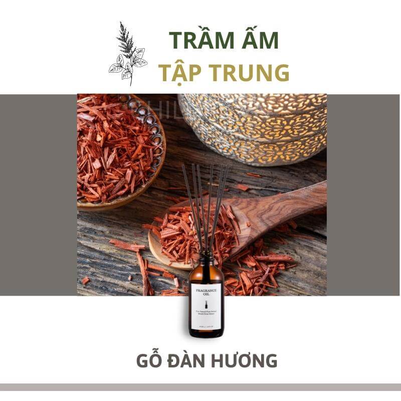 Tinh dầu thiên nhiên thơm phòng cao cấp nguyên chất 100ml TD02 xông phòng, đuổi muỗi - Chillme