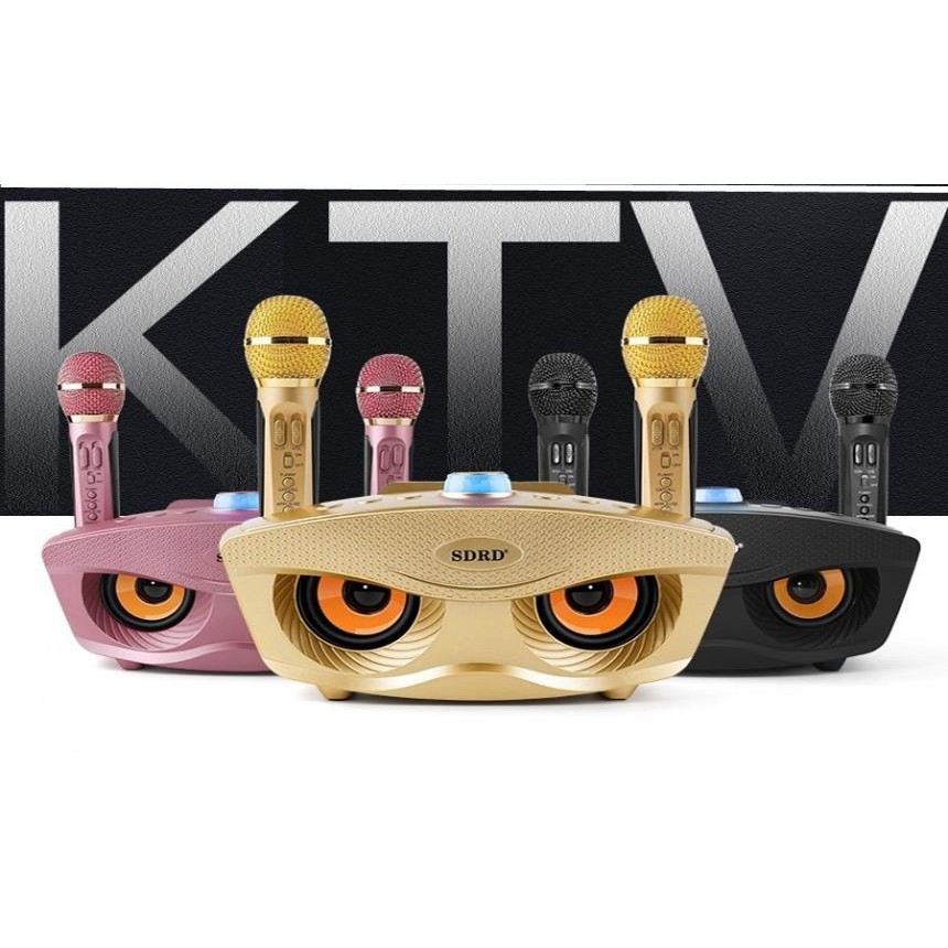 Loa Bluetooth Karaoke SDRD SD-306 Plus 2021 Kèm 2 Micro TẦN SỐ RIÊNG 30W Nâng Cấp Vượt Trội Sd-306