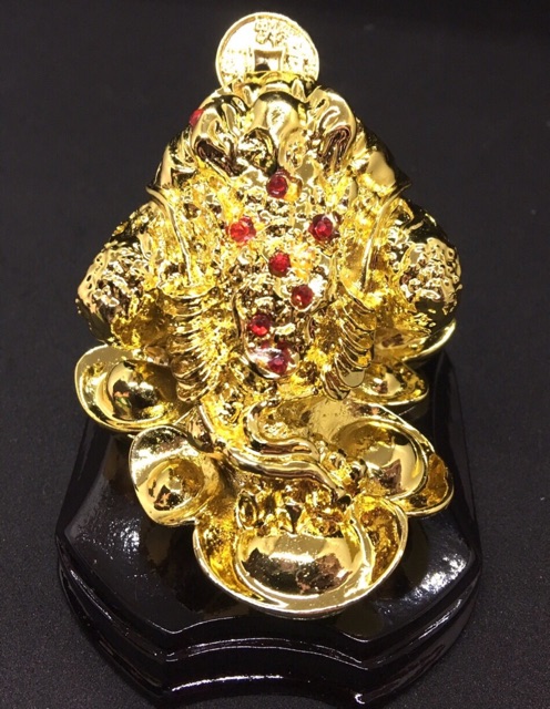 Cóc vàng tài lộc , thiềm thừ phong thủy