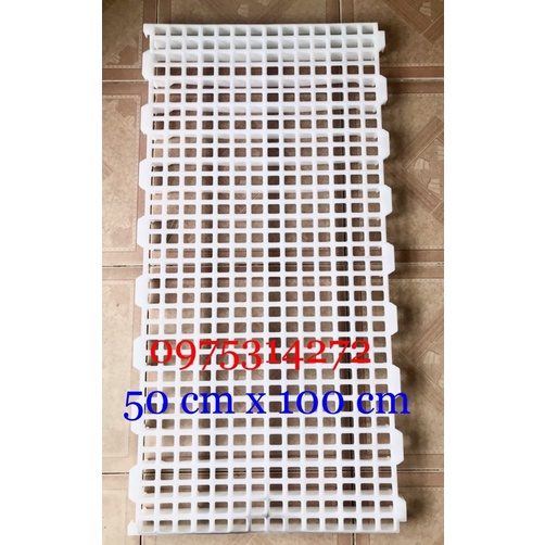 Sàn Nuôi Dê, Vịt, Chồn Hương, Chó-Mèo