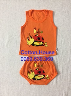 Bộ 3 lỗ mông thú màu