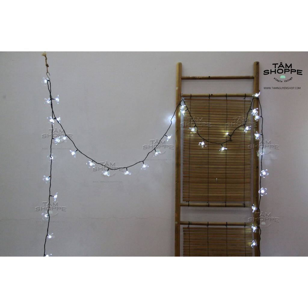 Dây đèn led Hoa mai trắng 10m