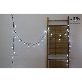 Dây đèn led Hoa mai trắng 10m TAN