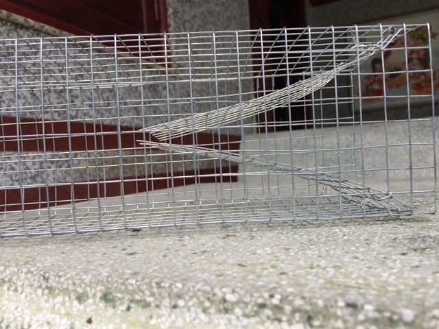 BẪY RẮN THÔNG MINH