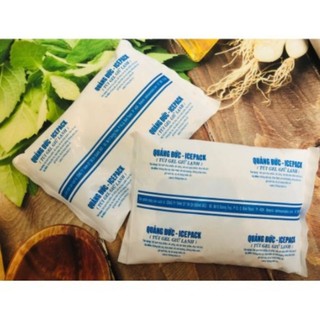 Đá khô giữ nhiệt 500g