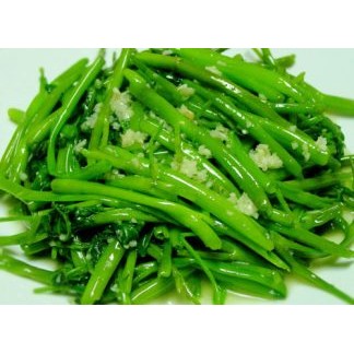 Bếp gas Rinnai RV-6 Double Glass(Sp) (Đen)