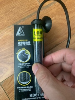 Sưởi Bể Cá 100w Cho Hồ Dưới 50L