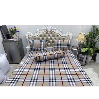 ga lẻ size 1m6x2m