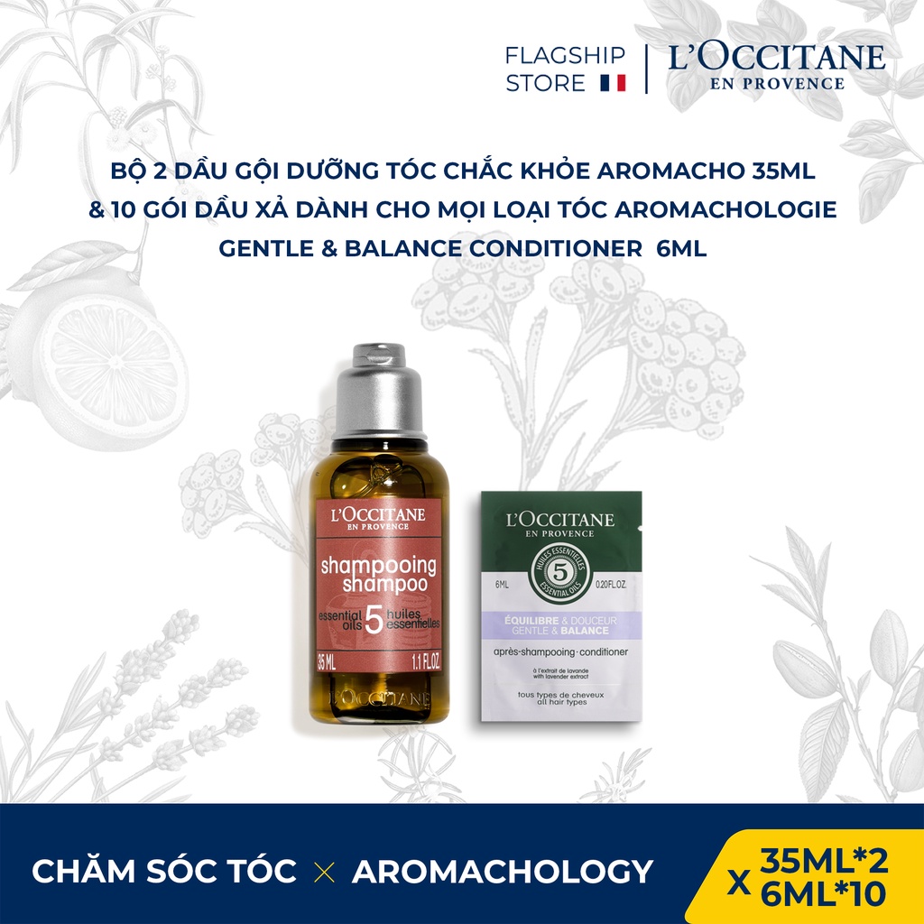 Dầu gội dưỡng tóc chắc khỏe Aromacho 35ml & 10 gói Dầu Xả làm dịu và dưỡng tóc óng mượt 6ml L'Occitane
