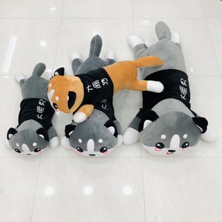 Mèo husky gối ôm