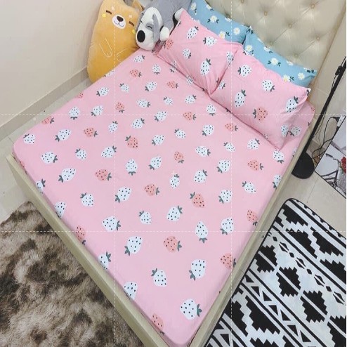 (HÀNG MỚI VỀ) SET 3 MÓN POLY COTTON MẪU DÂU BI HỒNG