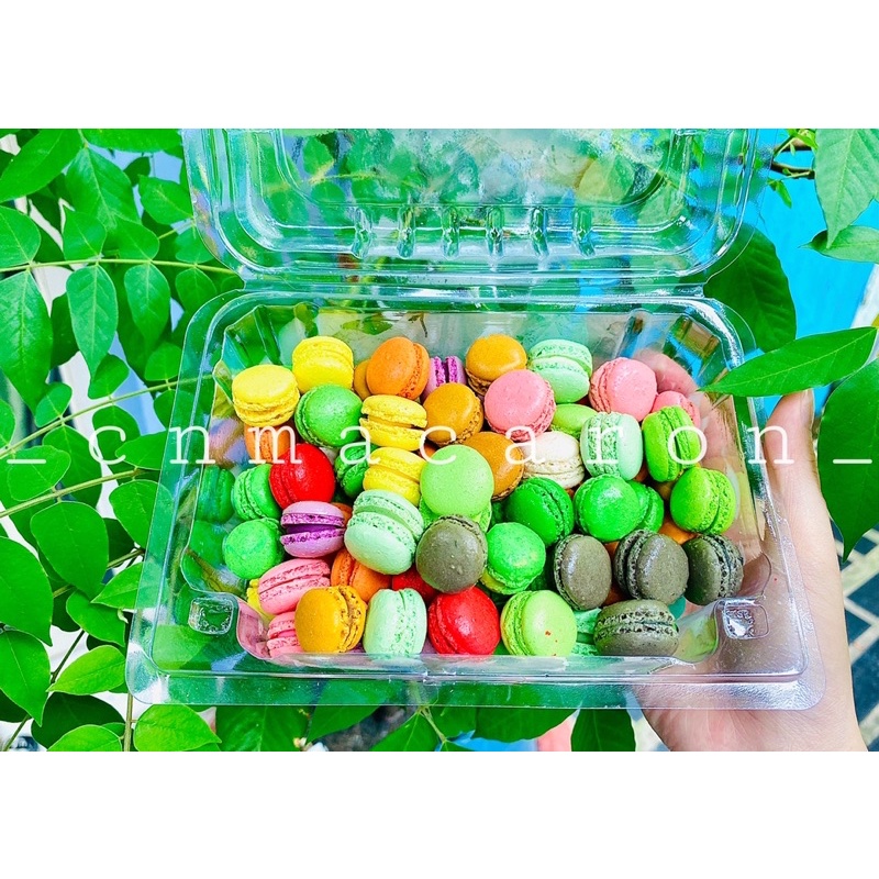 10 Cái Bánh Macaron Mini