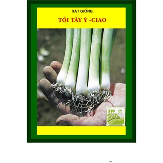 2 Gram - Hạt Giống Tỏi Tây Ý