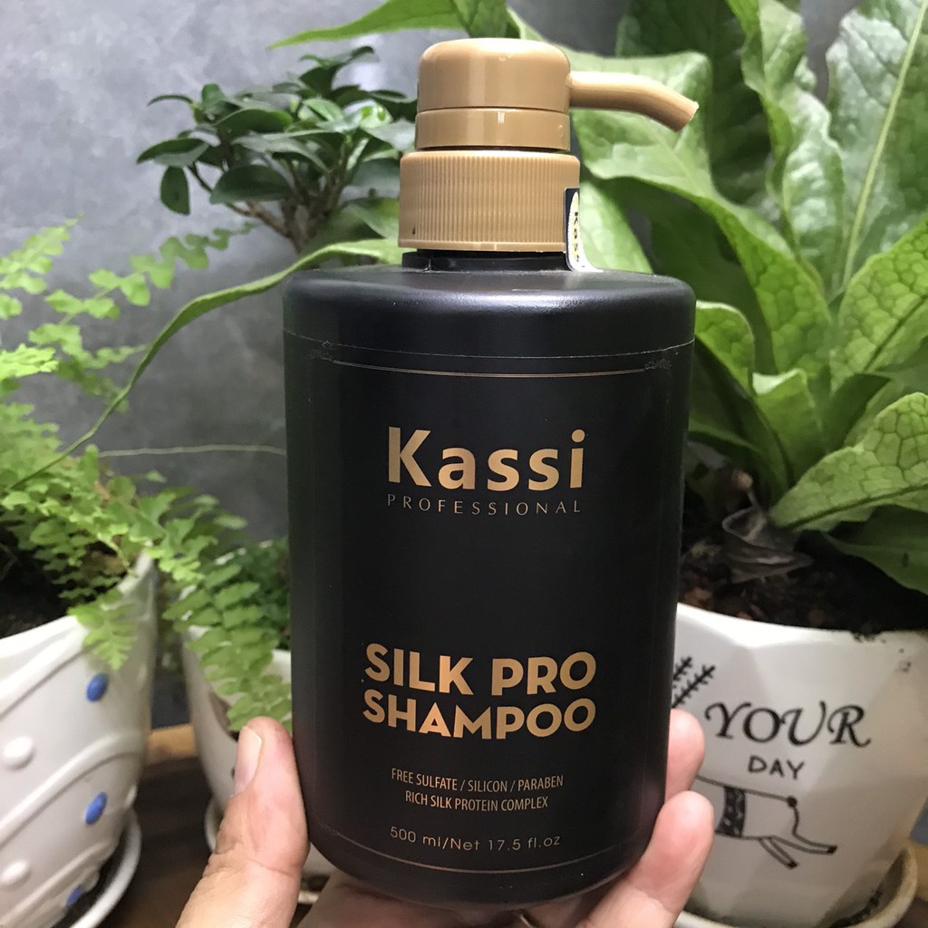 Dầu gội xả phục hồi tóc hư tổn Kassi Silk Pro 500mlx2