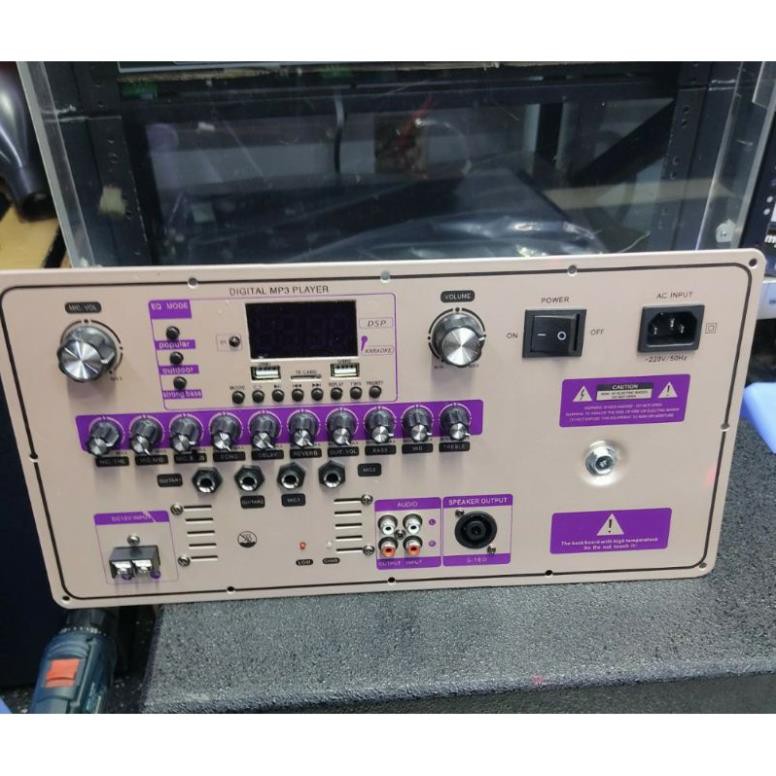 Mạch Loa Kéo Reverb Hoàn Hảo Nhất Nguồn 36V Đôi DSP Mono Mid MD Bo Mạch Mạnh Nhất Hát Hay Nhất