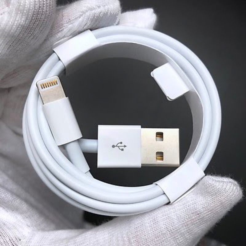 Bộ Sạc Thường 5V=1A USB To Lightning Cho Điện Thoại Tai Nghe Zin Nhà Máy