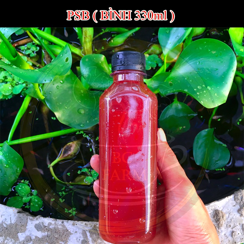 Vi sinh PSB bình 6 lít - Vi khuẩn quang hợp - Làm trong nước cực tốt