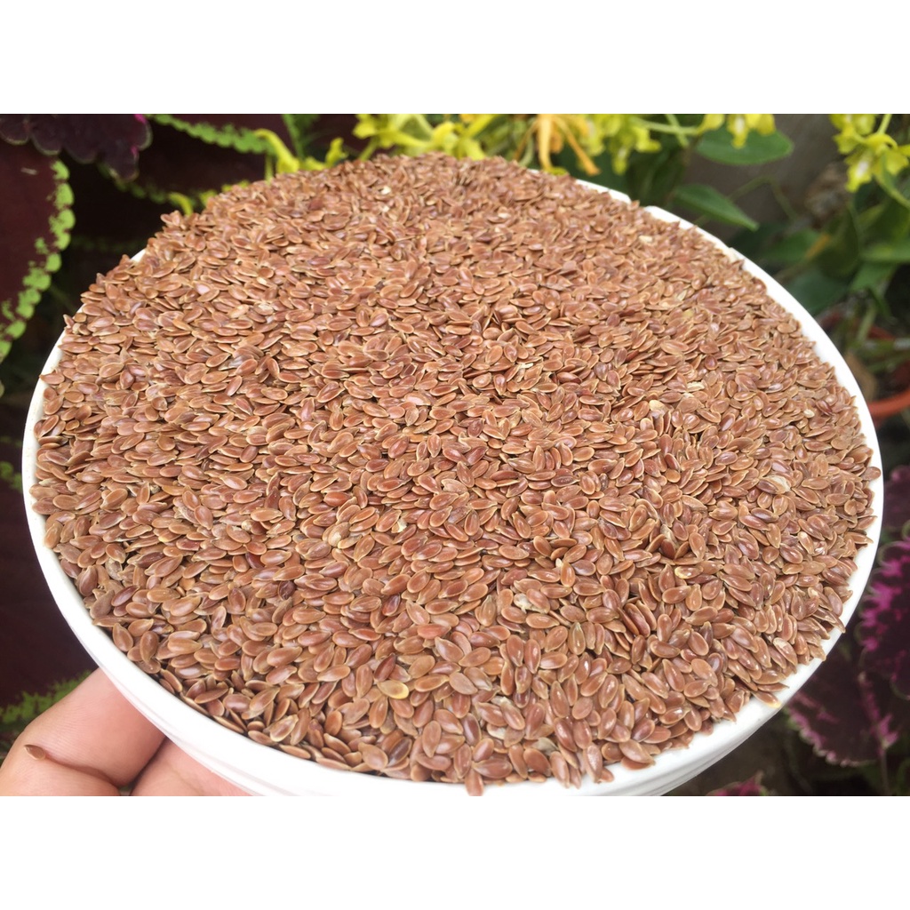 Hạt lanh nâu cho chim finch, 7 màu, yến phụng, yến hót, vẹt, cu gáy