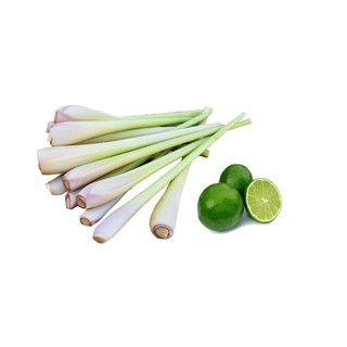  Combo 3 lọ tinh dầu sả chanh 10ml 