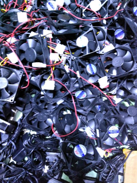 Quạt làm máy ấp trứng- 8 phân -12v