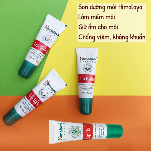 Son dưỡng hồng môi chiết xuất cà rốt Himalaya Lip Balm Herbals