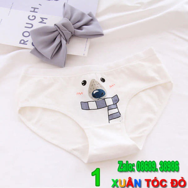 SỈ ZALO RẺ HƠN NHIỀU_ Quần Lót Gấu Trắng Bắc Cực Siêu Đẹp 5079 | BigBuy360 - bigbuy360.vn