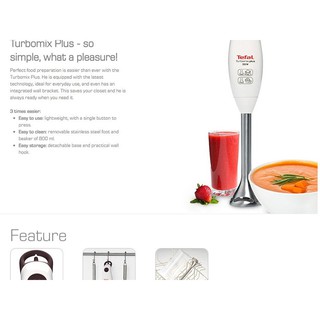 Máy xay cầm tay Tefal HB1011