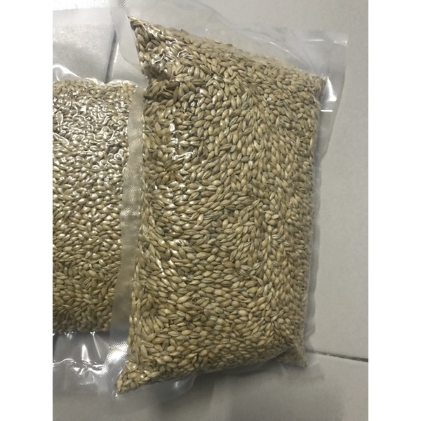 LÚA MẠCH THỨC ĂN DINH DƯỠNG GÀ ĐÁ,BỒ CÂU,VẸT,HAMTER..