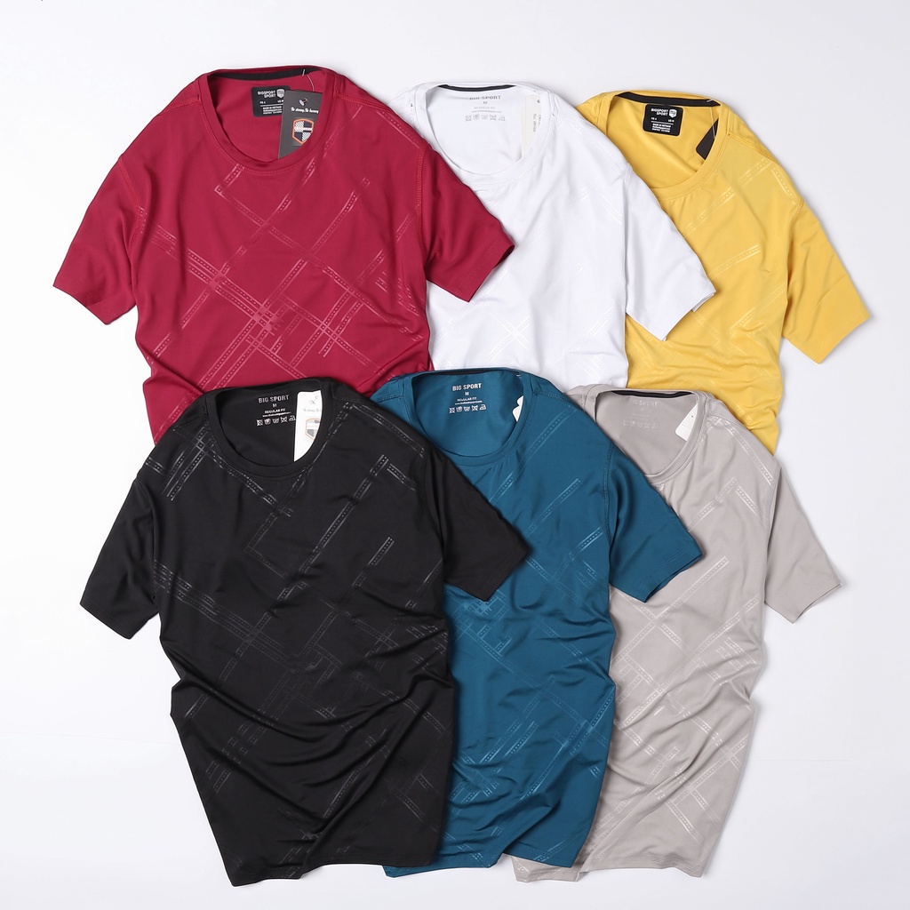 Áo Thun Nam Thể Thao Form Regular Unisex Trơn Basic Cổ Tròn Vải Poly Thun Lạnh Cao Cấp - Big Sport, BS00