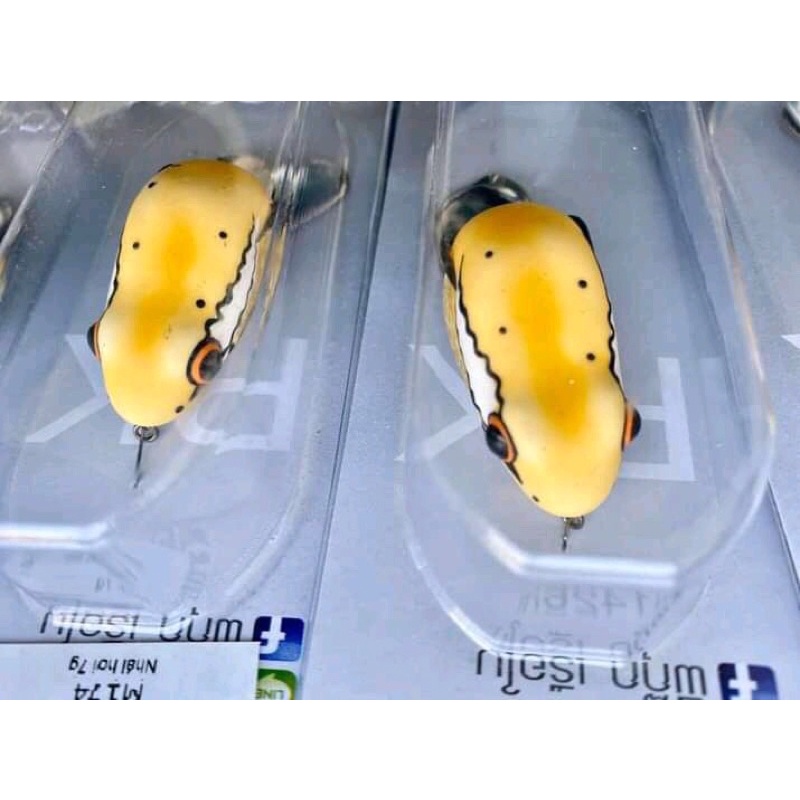 Chuột sóc 2 thìa Thái Lan