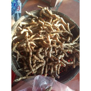 Ba kích tím Quảng Ninh