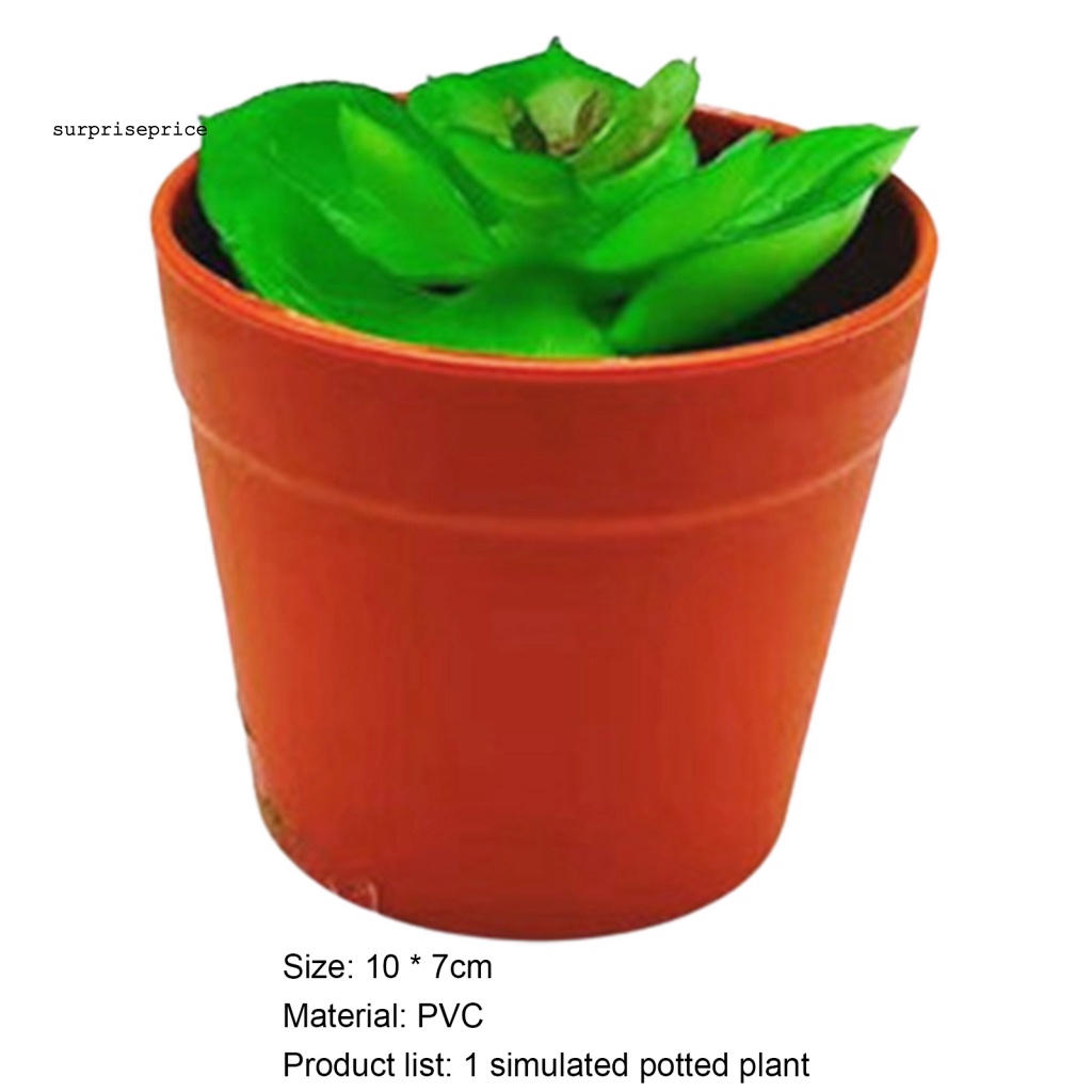 Chậu Cây Cảnh Nhân Tạo Sống Động Dùng Trang Trí