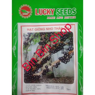 HẠT GIỐNG NHO THÂN GỖ ( 3 hạt )