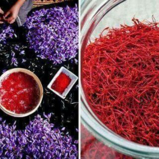 MẶT NẠ TRẮNG DA LUXURY SAFFRON MAGIC SKIN