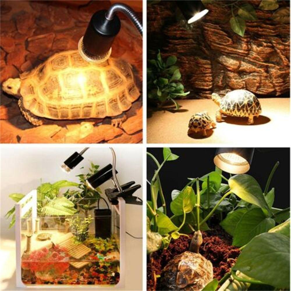 Giá Đỡ Bóng Đèn Sưởi Ấm Tia UV Cho Bò Sát